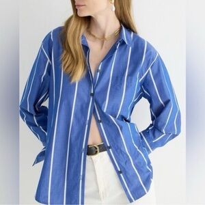 J. Crew Azure and Ivory Striped Button Down Shirt